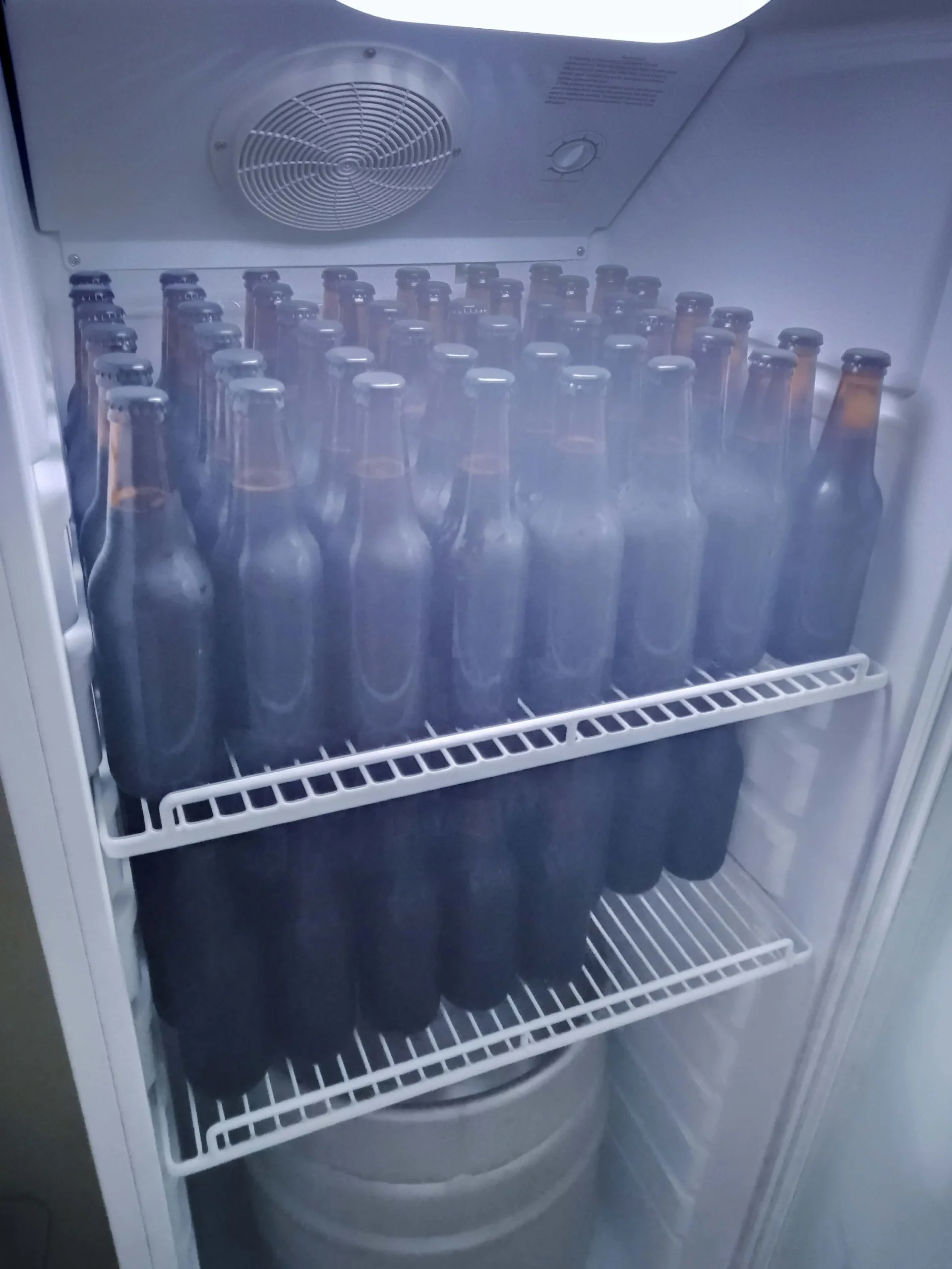 Nosotros 14 skip-lazy