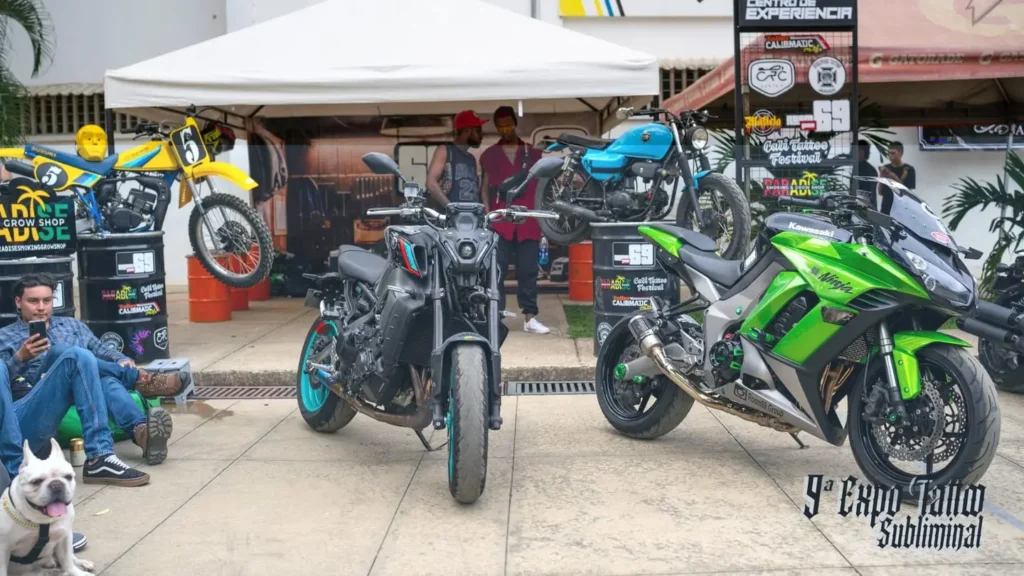 skip-lazy alto power motos
